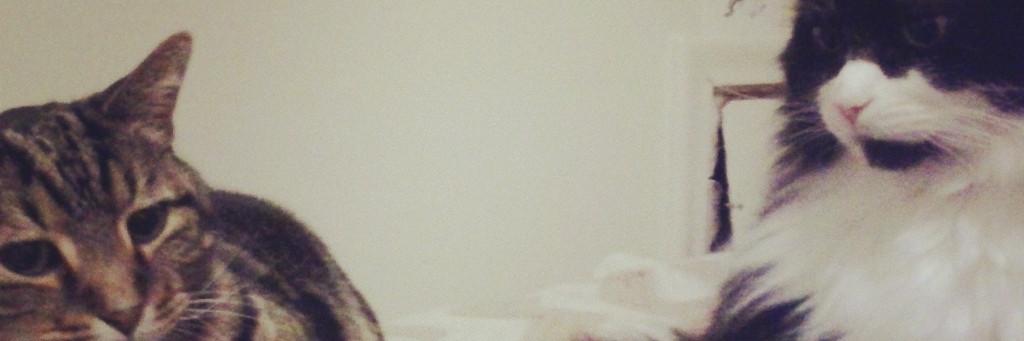 woolandwater's profile banner image