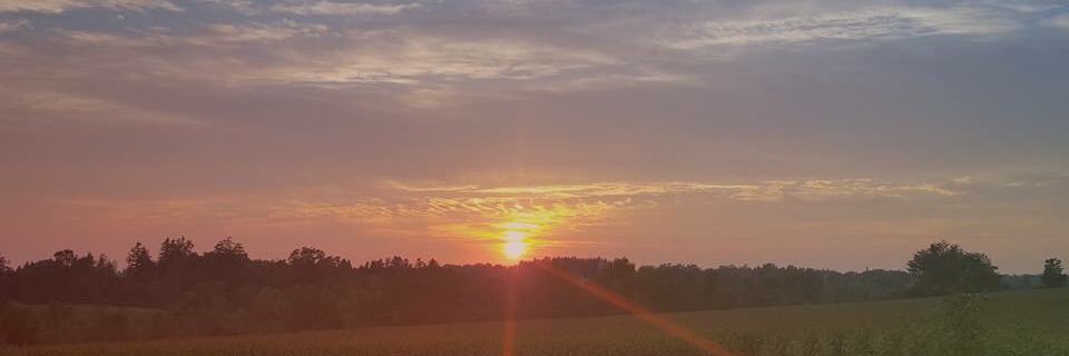 Lindy Oughtred banner