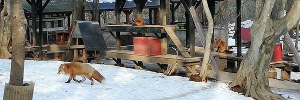 sigsegvvv Profile Banner