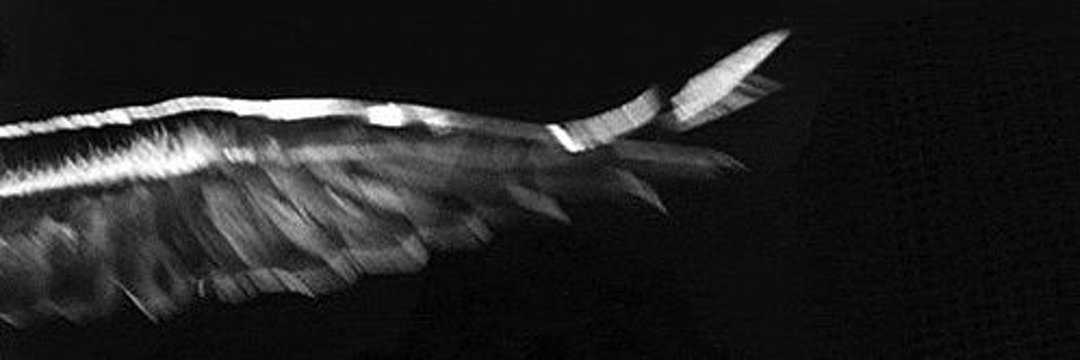 vn4. 🐈‍⬛ banner