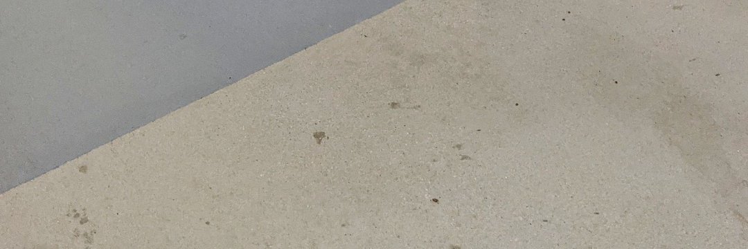 Curatorous's profile banner image