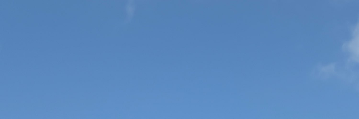 謎解き制作団体めとろらびりんす banner
