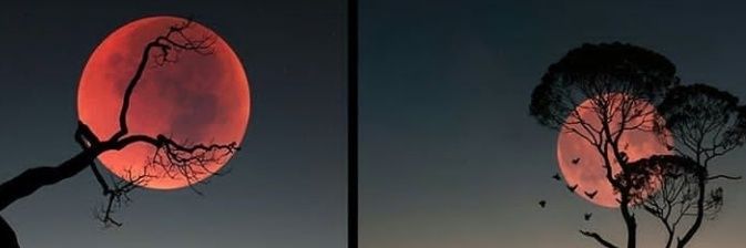 ewulson's profile banner image
