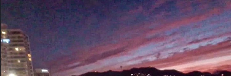 L banner