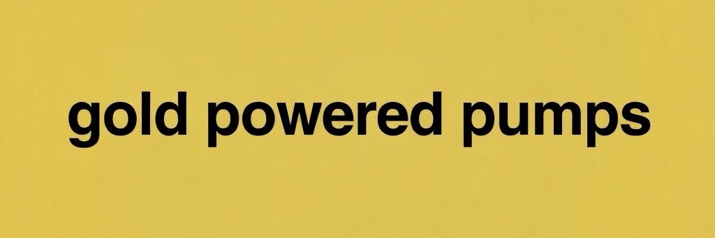 pumpbsv.fun banner