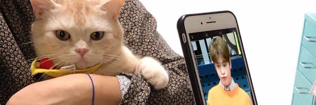 chowderpow's profile banner image