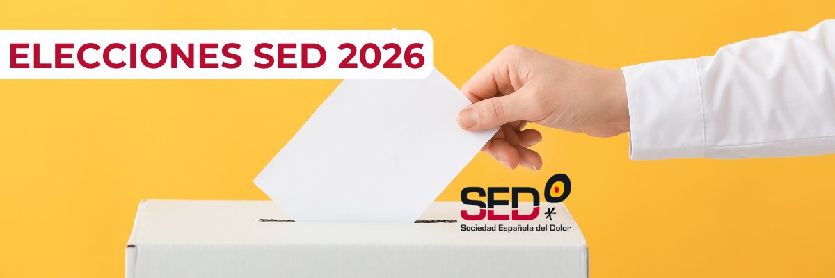 Elecciones SED 2026 banner