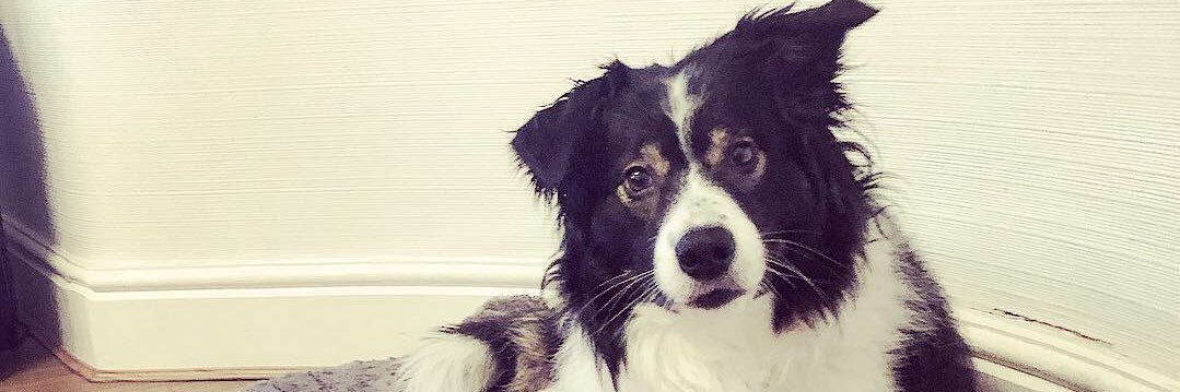 EmilyEnochX's profile banner image