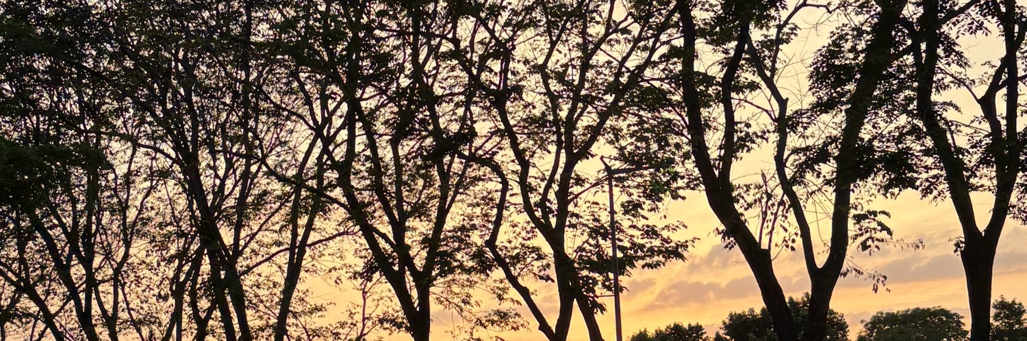 春🌷 banner