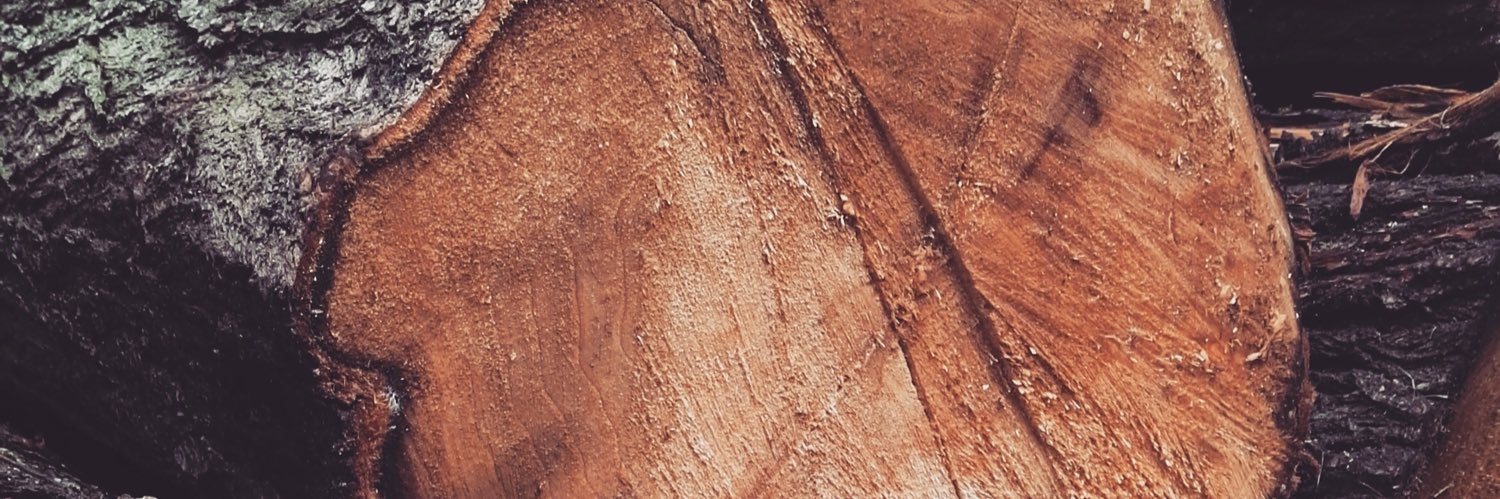 Perkins17's profile banner image