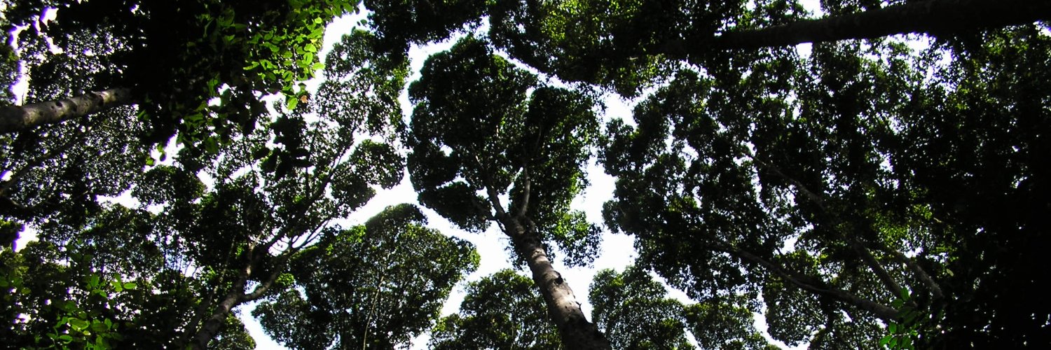 Jon Moore banner