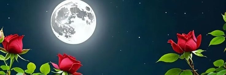 BİRİCİK banner