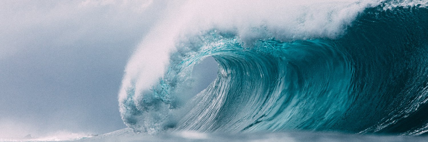 Susanne 🌊🌊🌊 banner