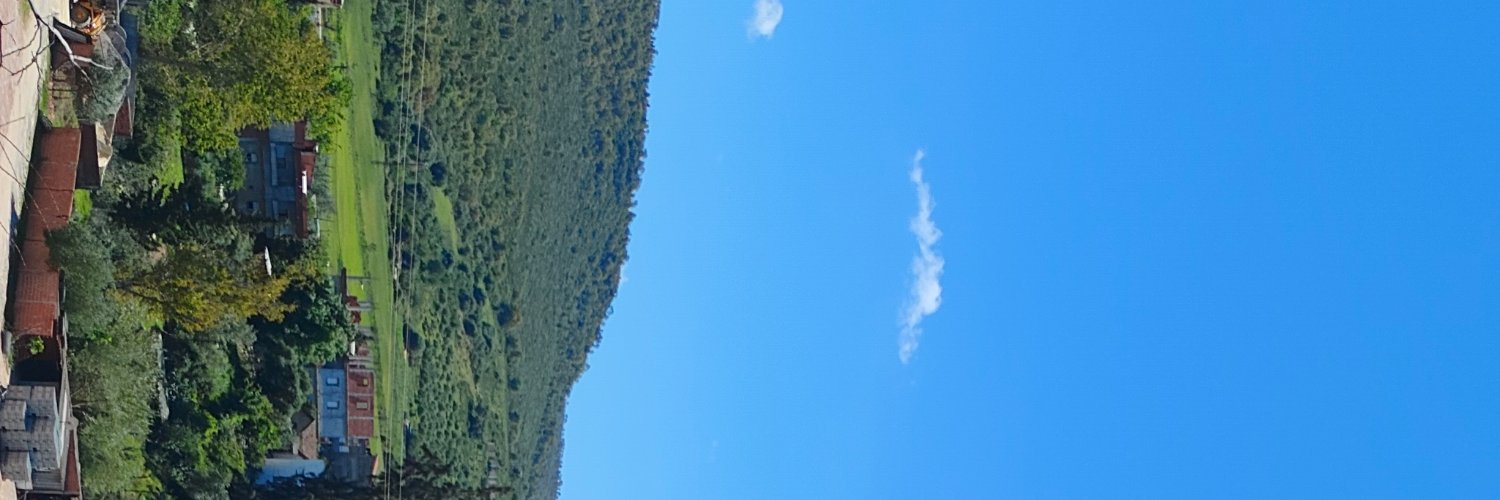 مايا شانغ banner