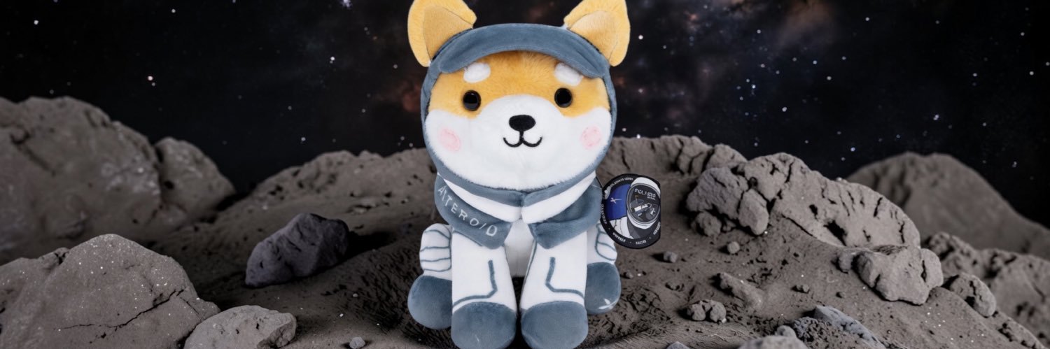 Asteroid ☄️🌕🐕 banner