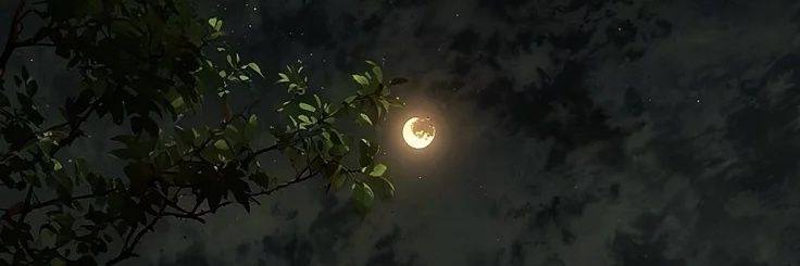 🕷 banner