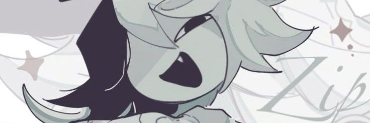Zip banner