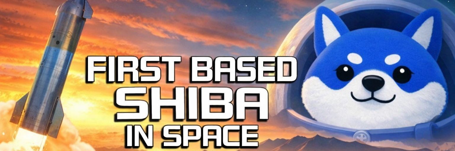 Based Asteroid Shiba banner