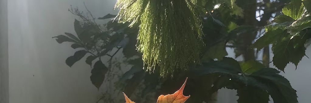 Add your name banner