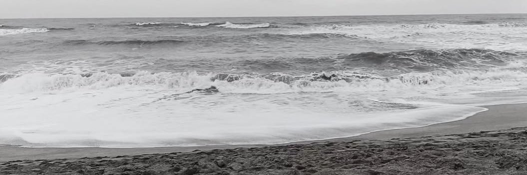 Pope Cody banner