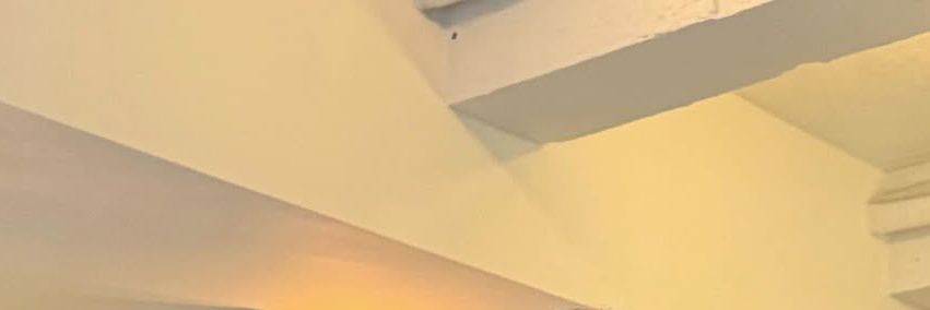 ISSA ⁠✿⁠ banner