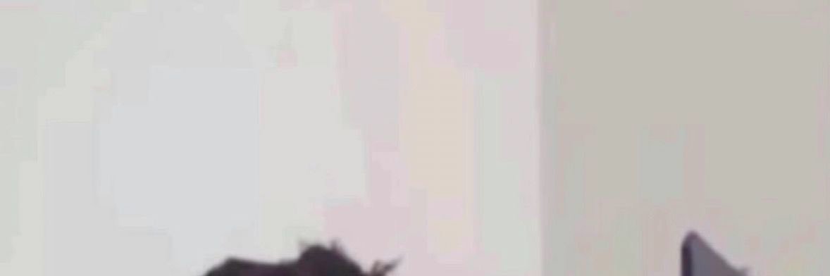 w banner