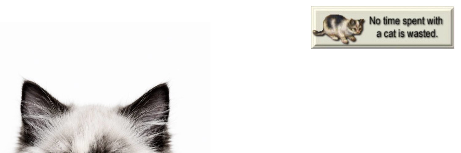 vin banner