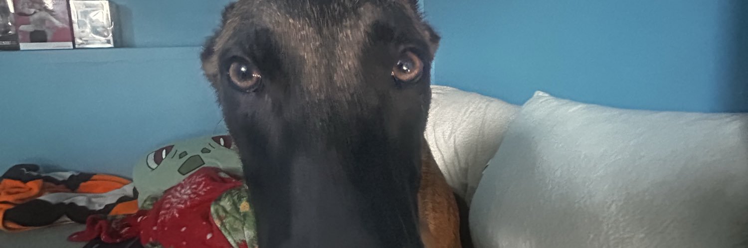 zero banner