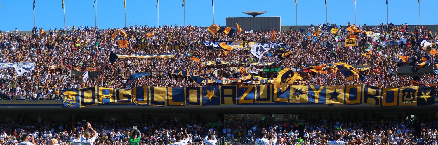 Baldemar García 🙊 banner