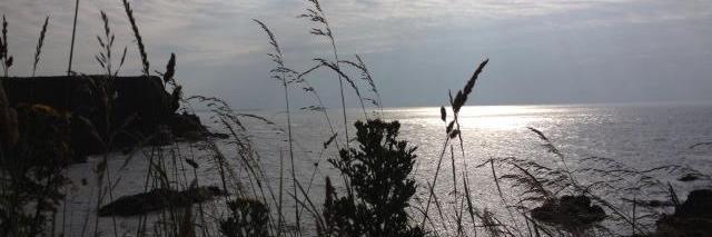 Kathleen Galloway🇨🇦☮️ banner