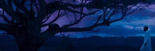 KSweeTweet's profile banner image