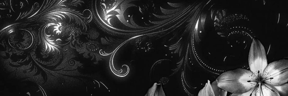 𓂃✃ Sage ★₊˚ banner