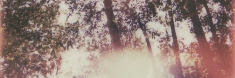 𝓭𝓸𝓶𝓸 banner