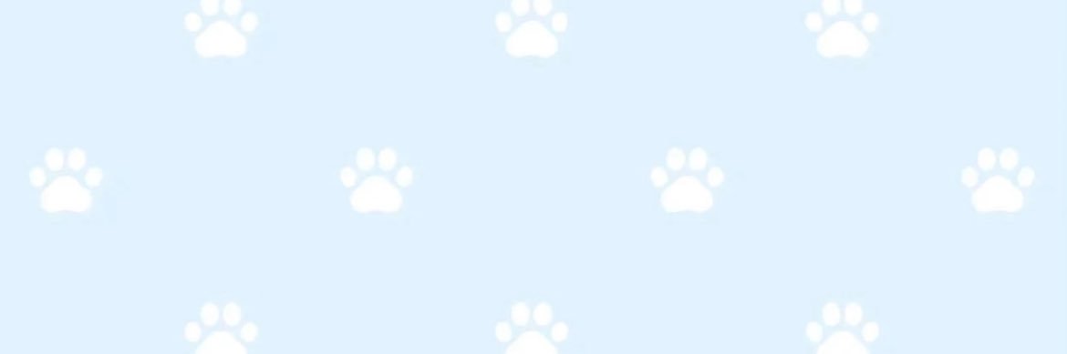 番茄 banner