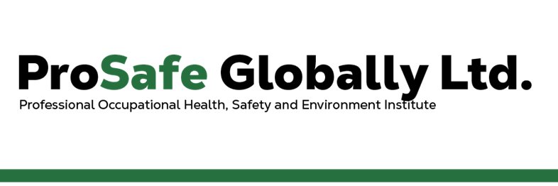Professional Occupational HSE Institute banner