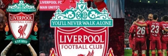 Shrimp banner