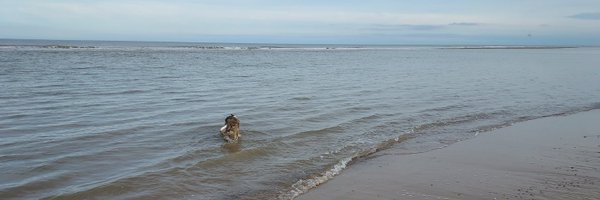 roozie52 Profile Banner