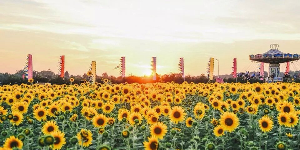 Chillipink's profile banner image