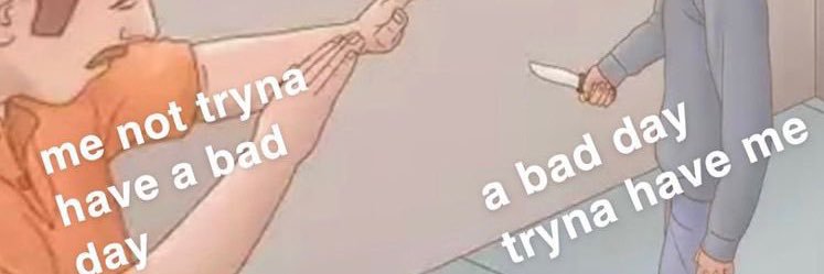 Laura Parrott banner