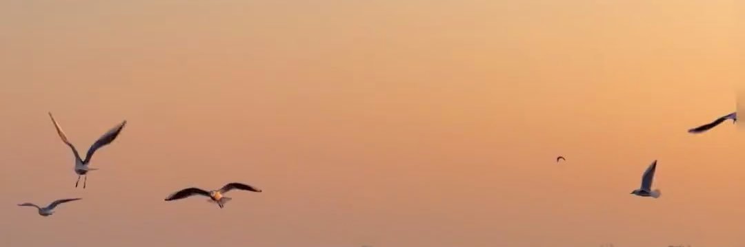 Ericccyee's profile banner image