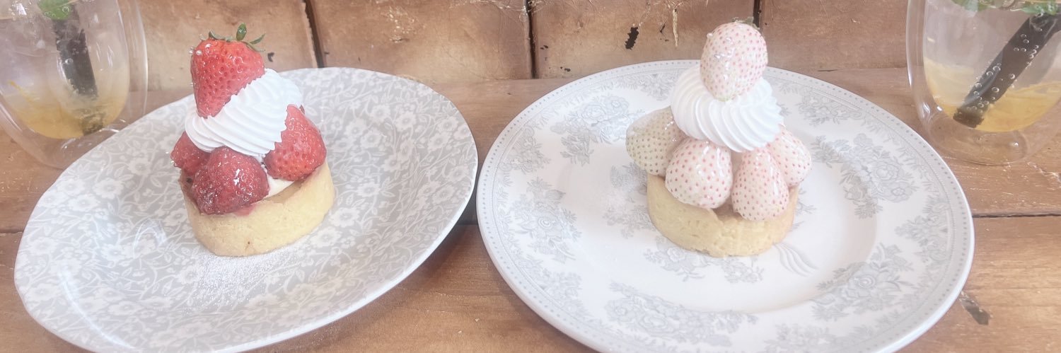 れすたみん banner