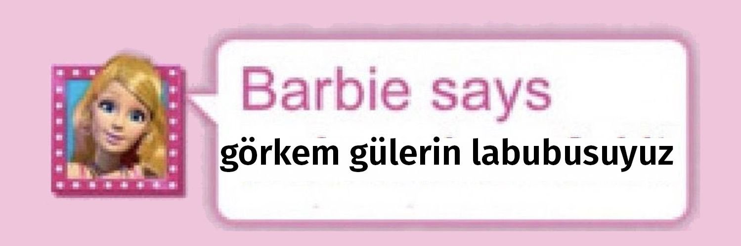 ekin ⋆˚꩜｡ banner