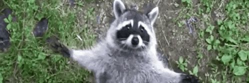tlilfrog's profile banner image