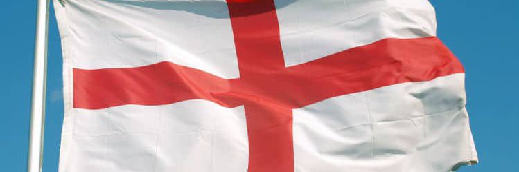 Ed Davidian banner
