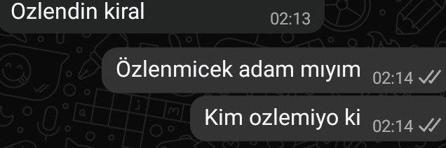 Berk🇹🇷 banner
