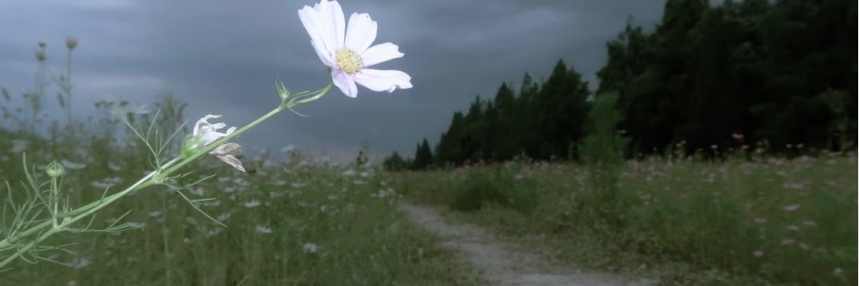 shengmingdebbbq's profile banner image