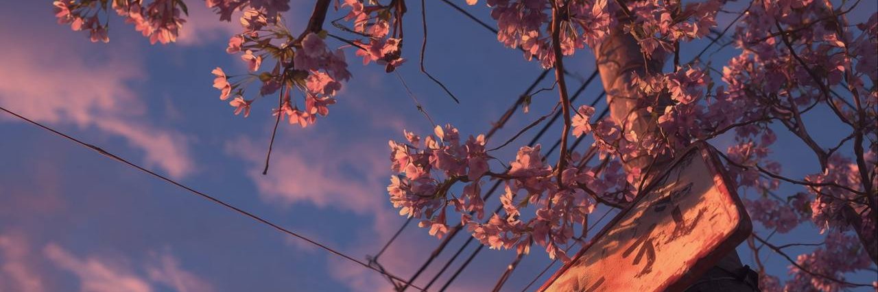 Dumpling banner