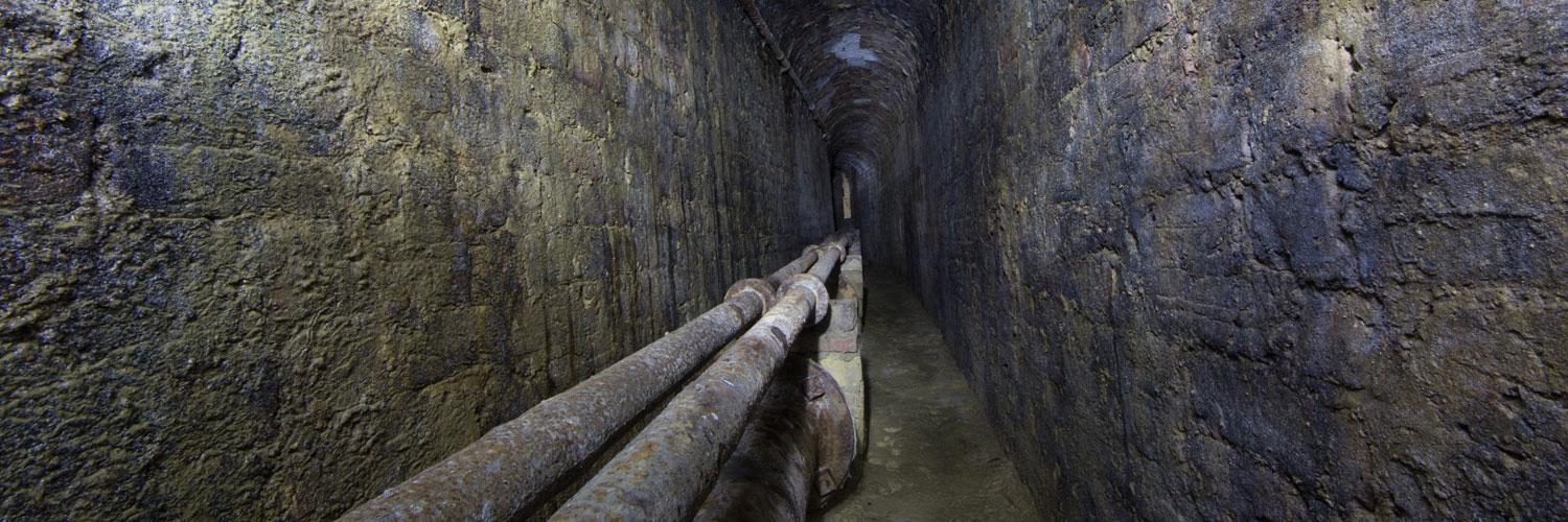 The TW Project banner