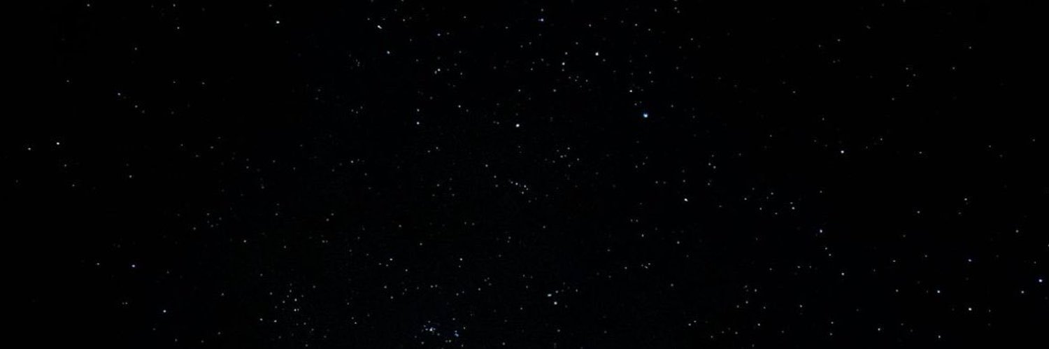 🎀 banner