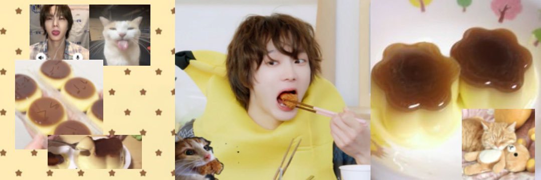 meepyeppi's profile banner image